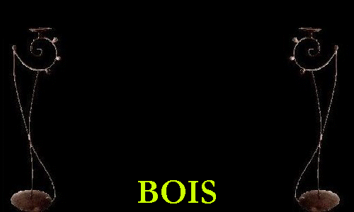 BOIS